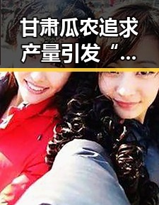 甘肃瓜农追求产量引发“问题瓜”事件，网友热议环保与质量