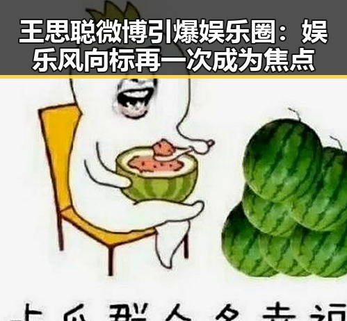 王思聪微博引爆娱乐圈：娱乐风向标再一次成为焦点