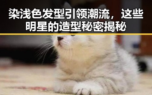 染浅色发型引领潮流，这些明星的造型秘密揭秘