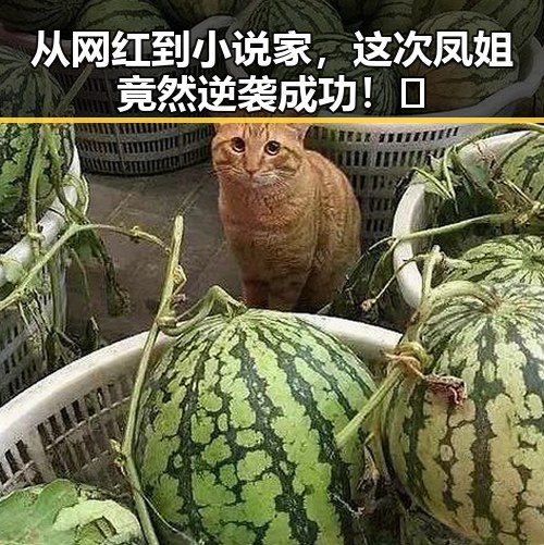 从网红到小说家，这次凤姐竟然逆袭成功！🔥