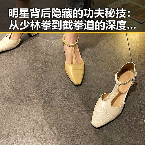 明星背后隐藏的功夫秘技：从少林拳到截拳道的深度解析
